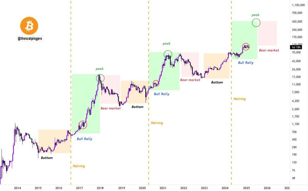 Bitcoin Halving. Source: Thescalpingpro