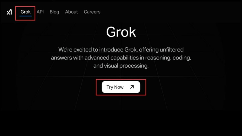 Try Grok AI