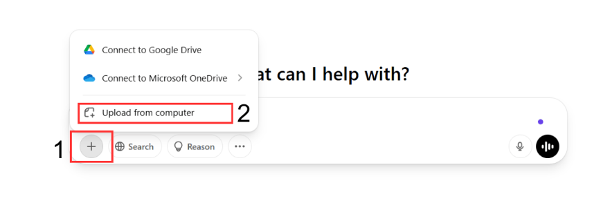 upload your portrait