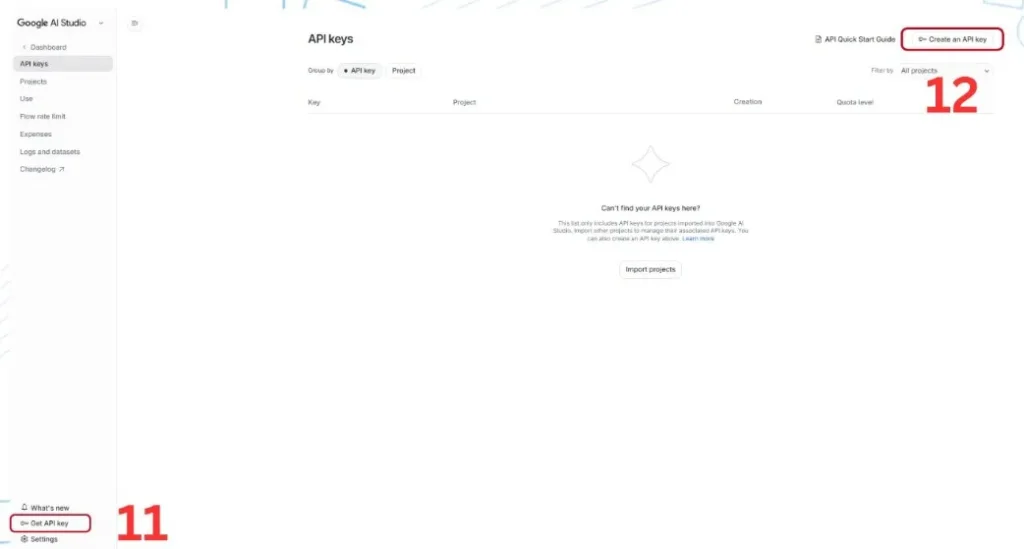 Go to Google AI Studio to find your API key